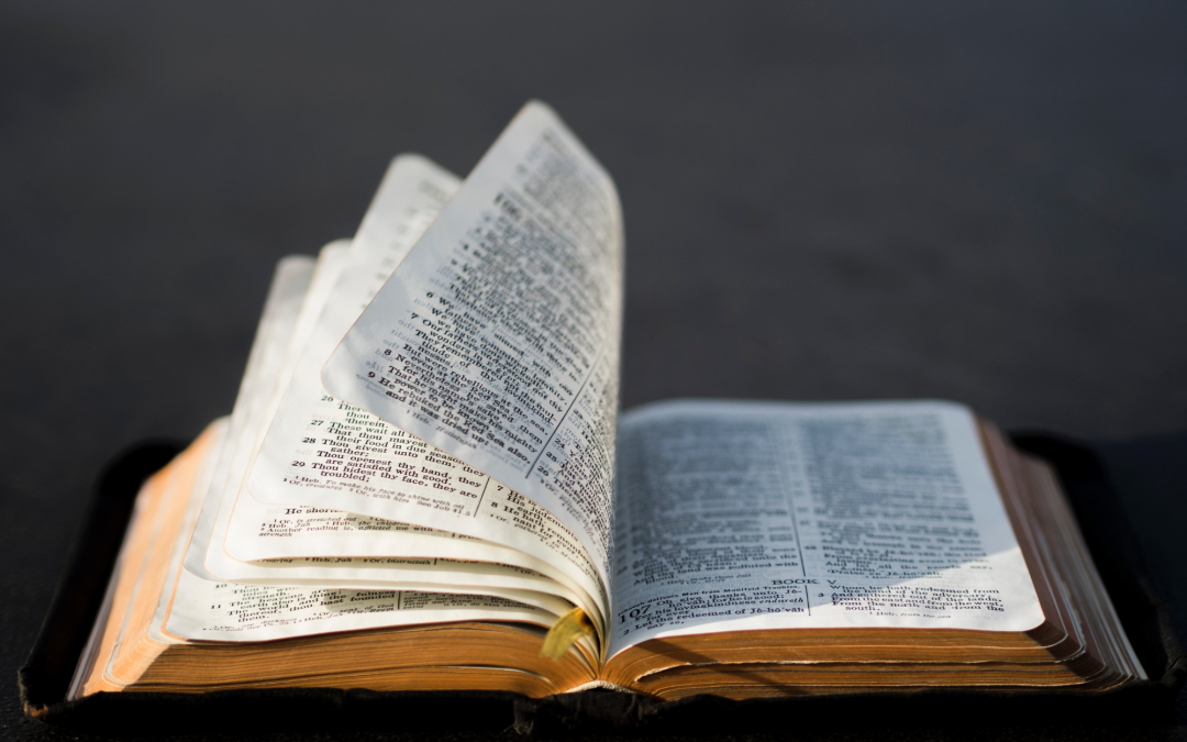 How to Grow Spiritually Through Reading the Bible on Your Own